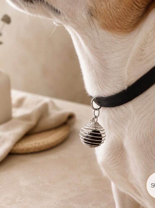Colgante amatista para perros